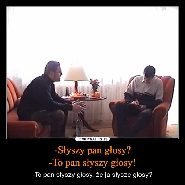 
    -Słyszy pan głosy?
-To pan słyszy głosy!