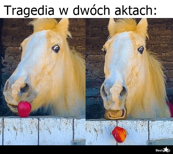 
    Tragedia w dwóch aktach 