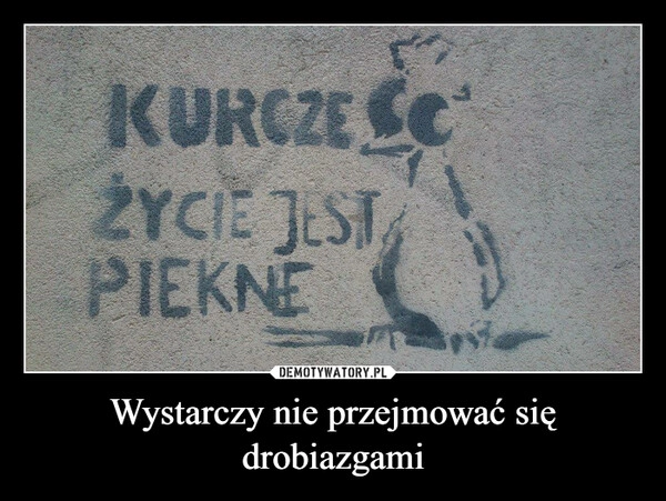 
    Wystarczy nie przejmować się drobiazgami 