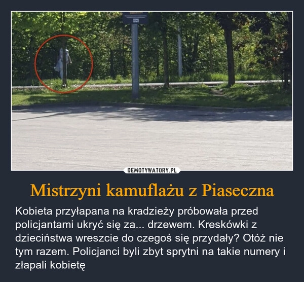 
    Mistrzyni kamuflażu z Piaseczna