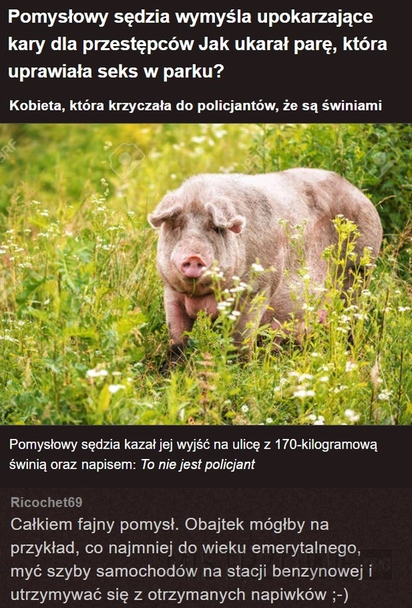 
    Sędzia