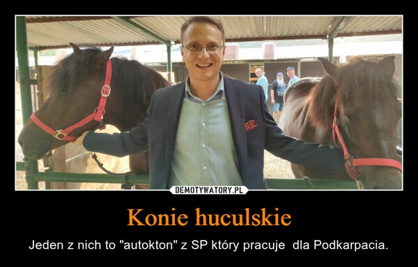 
    Konie huculskie