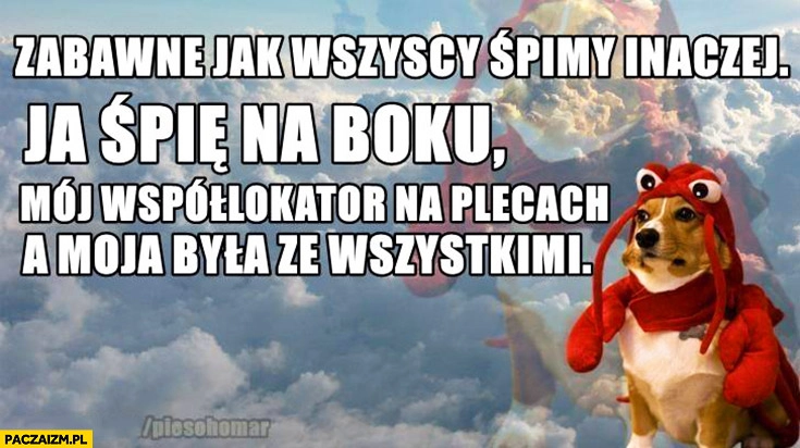 
    Zabawne jak wszyscy śpimy inaczej: ja śpię na boku, mój współlokator na plecach, a moja była ze wszystkimi