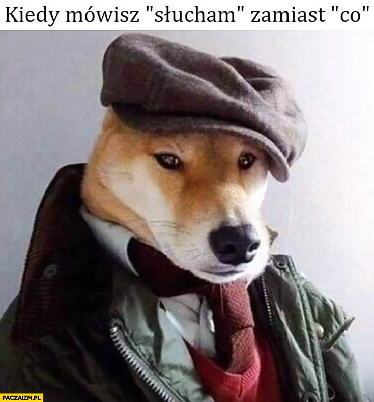 
    Kiedy mówisz słucham zamiast co pies pieseł w kaszkiecie kapeluszu