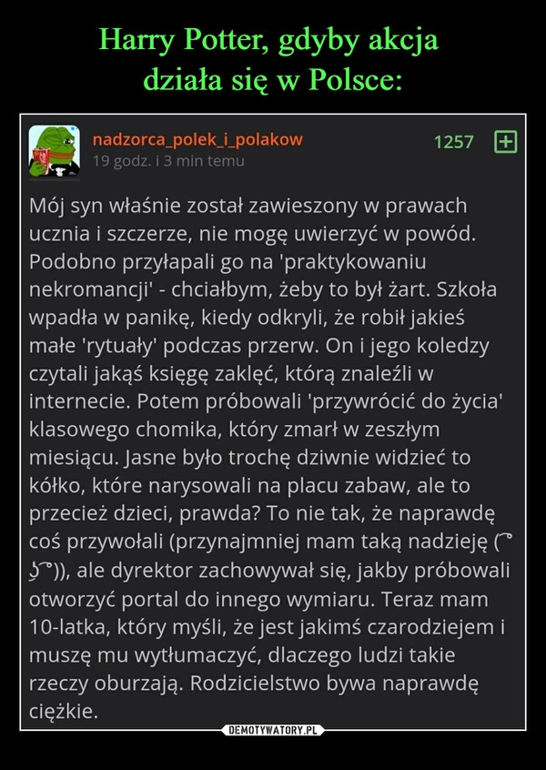 
    Harry Potter, gdyby akcja 
działa się w Polsce: