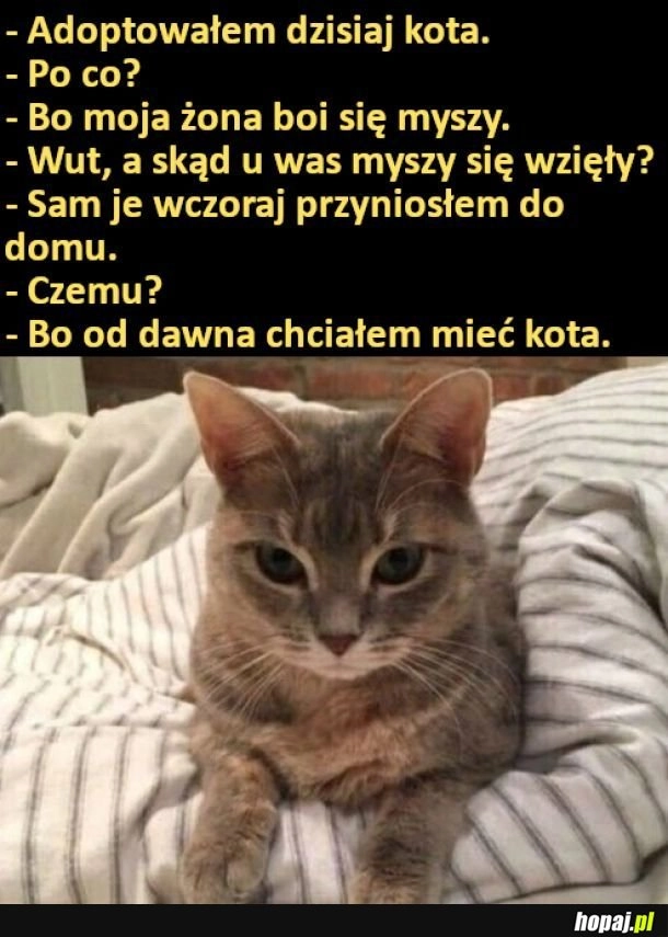 
    Podstęp