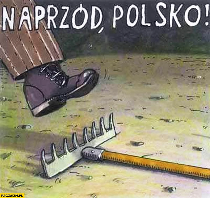 
    Naprzód Polsko nadeptuje na leżące grabie