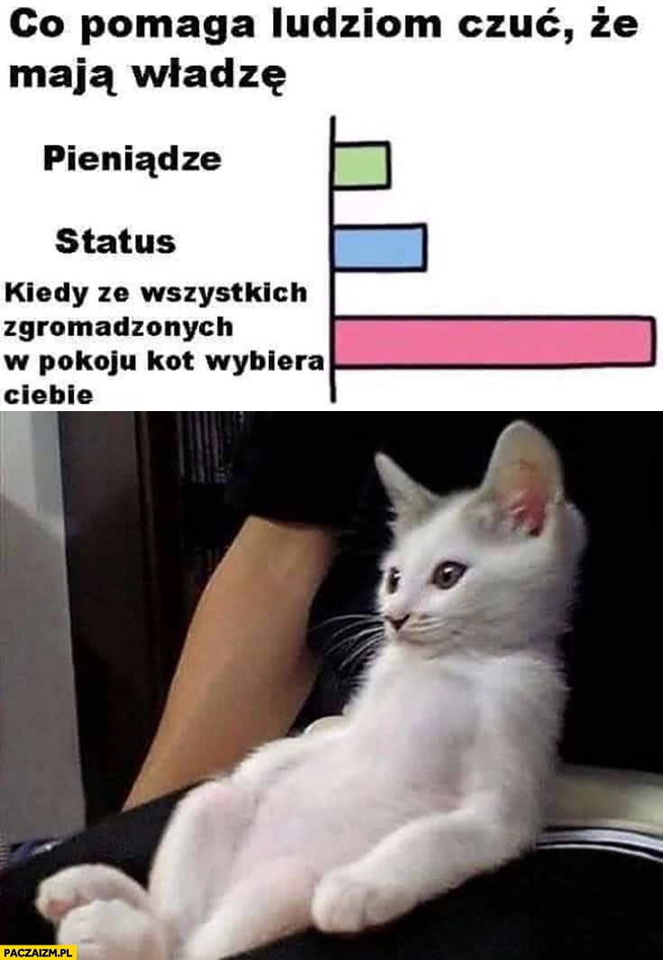 
    Co pomaga ludziom czuć, że mają władzę? Kiedy ze wszystkich zgromadzonych w pokoju kot wybiera ciebie