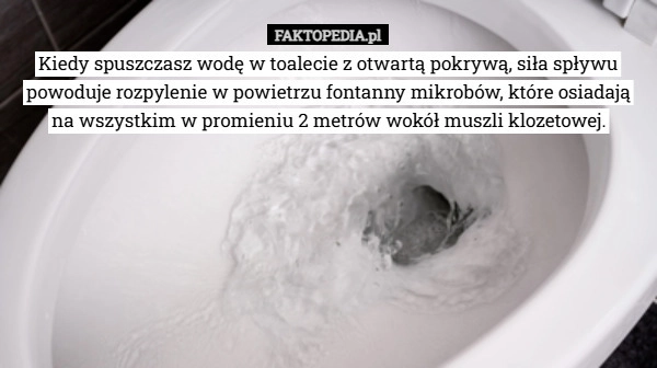 
    Kiedy spuszczasz wodę w toalecie z otwartą pokrywą, siła spływu powoduje