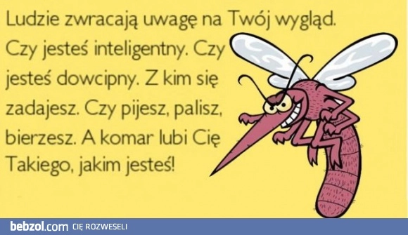 
    Komar