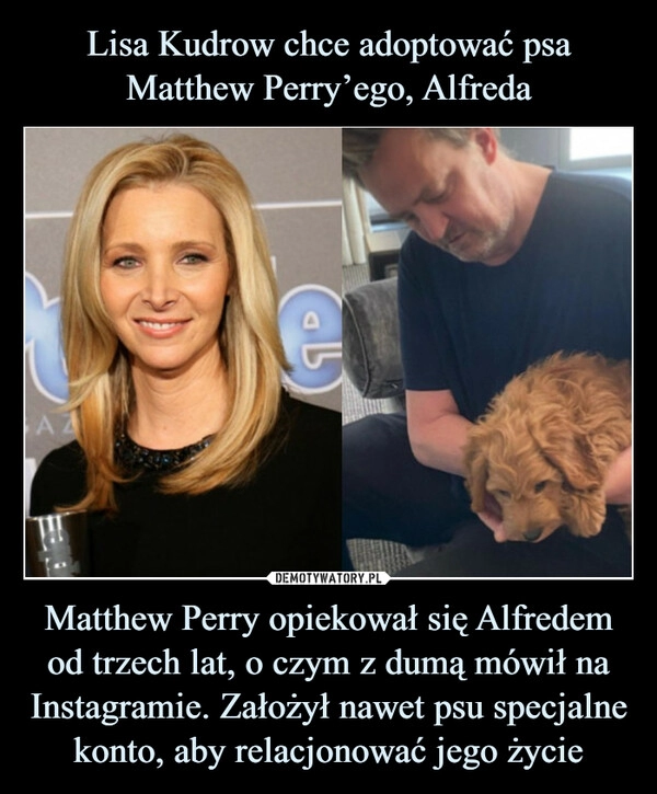 
    Lisa Kudrow chce adoptować psa Matthew Perry’ego, Alfreda Matthew Perry opiekował się Alfredem od trzech lat, o czym z dumą mówił na Instagramie. Założył nawet psu specjalne konto, aby relacjonować jego życie