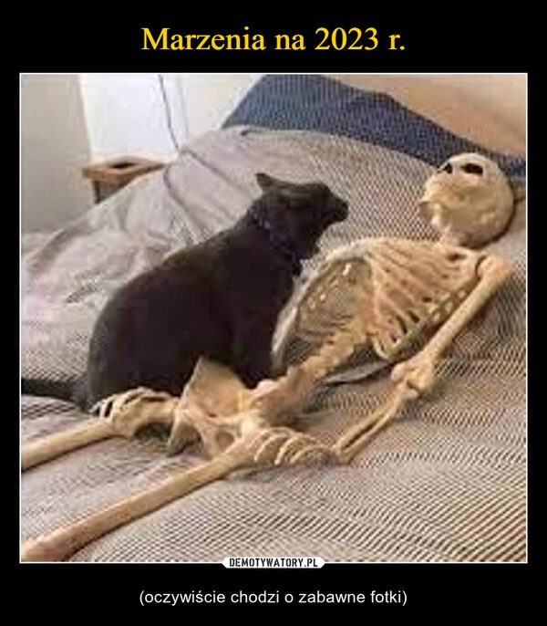 
    
Marzenia na 2023 r. 