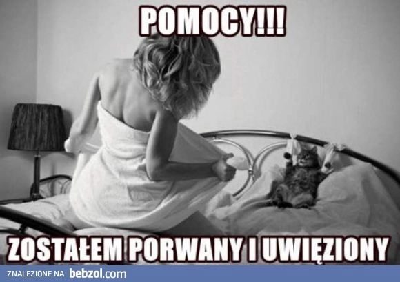 
    Pomocy