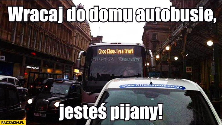 
    Wracaj do domu autobusie jesteś pijany choo choo I’m a train