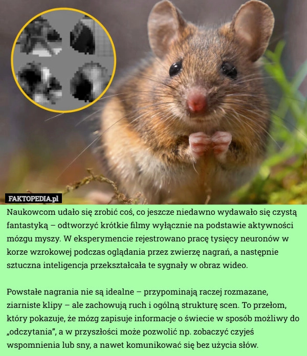 
    Naukowcom udało się zrobić coś, co jeszcze niedawno wydawało się czystą