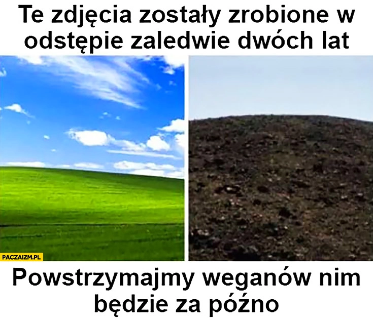 
    Te zdjęcia zostały zrobione w odstępie zaledwie dwóch lat powstrzymajmy weganów nim będzie za późno pulpit Windows