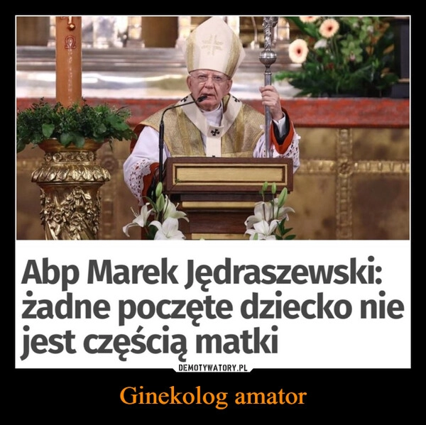 
    Ginekolog amator