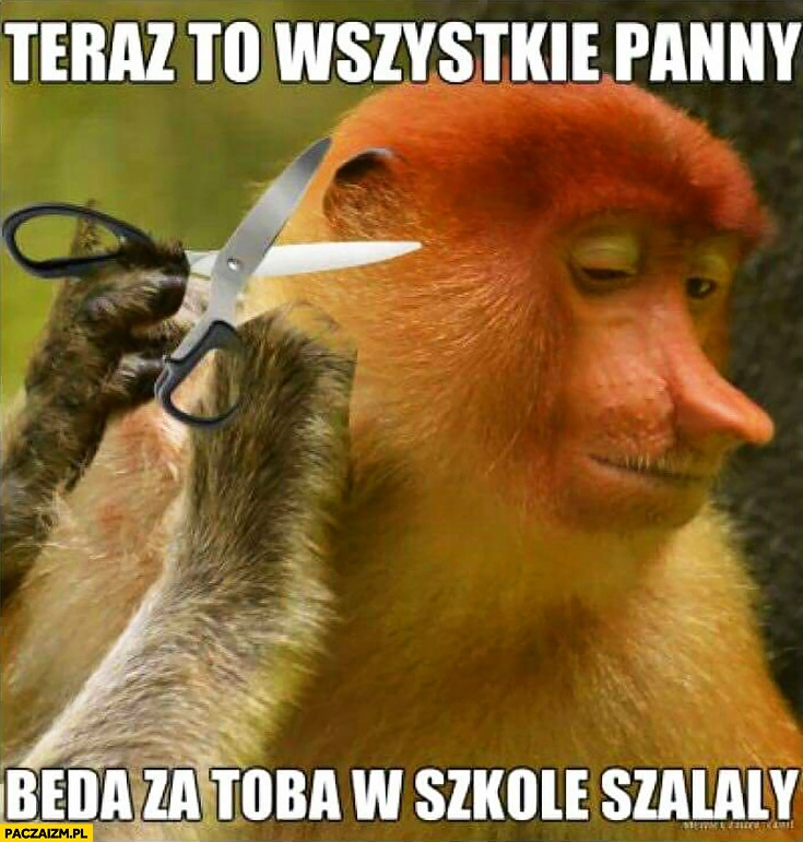 
    Teraz to wszystkie panny będą za Tobą w szkole szalały typowy Polak nosacz u fryzjera małpa