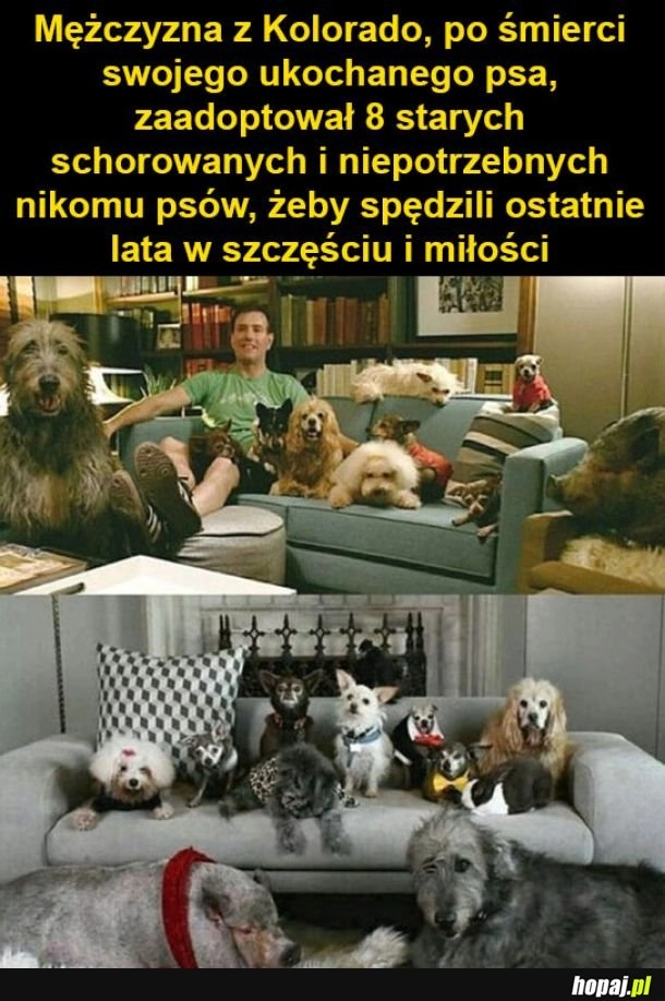 
    Wielkie poświęcenie