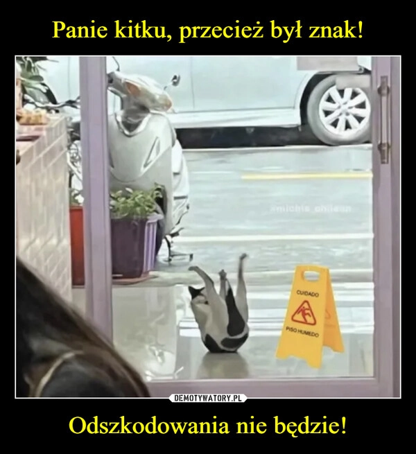 
    Panie kitku, przecież był znak! Odszkodowania nie będzie!