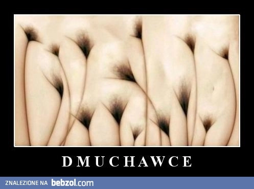 Dmuchawce
