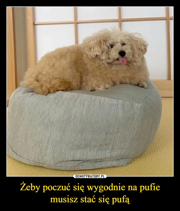 
    Żeby poczuć się wygodnie na pufie musisz stać się pufą