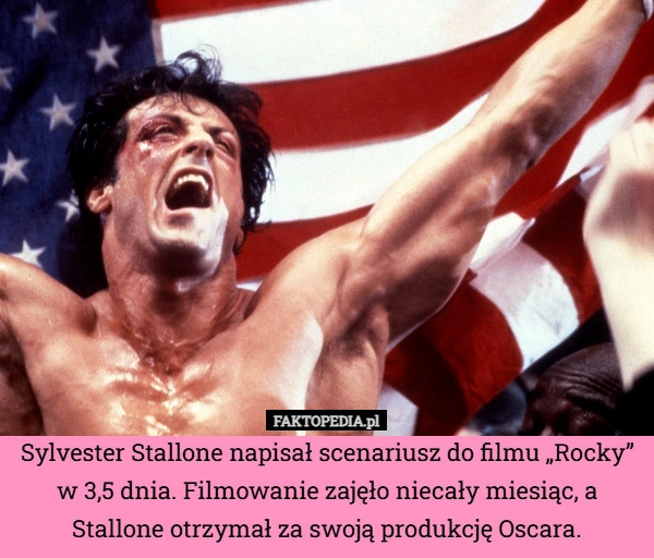 
    Sylvester Stallone napisał scenariusz do filmu „Rocky” w 3,5 dnia. Filmowanie