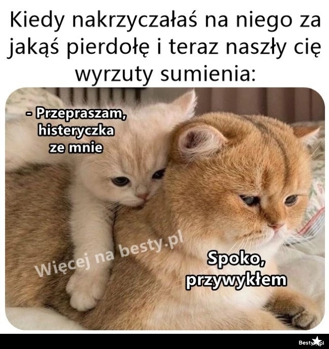 
    Za dużo nerwów 