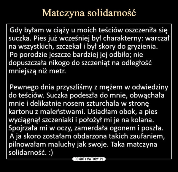 
    Matczyna solidarność