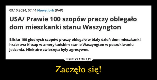 
    Zaczęło się!