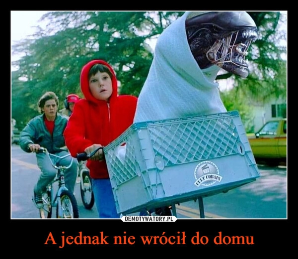 
    A jednak nie wrócił do domu