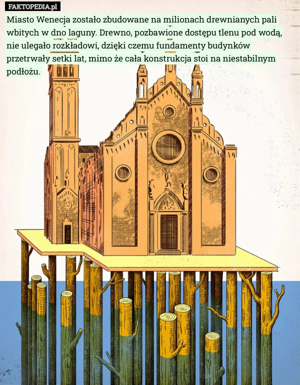 
    Miasto Wenecja zostało zbudowane na milionach drewnianych pali wbitych w