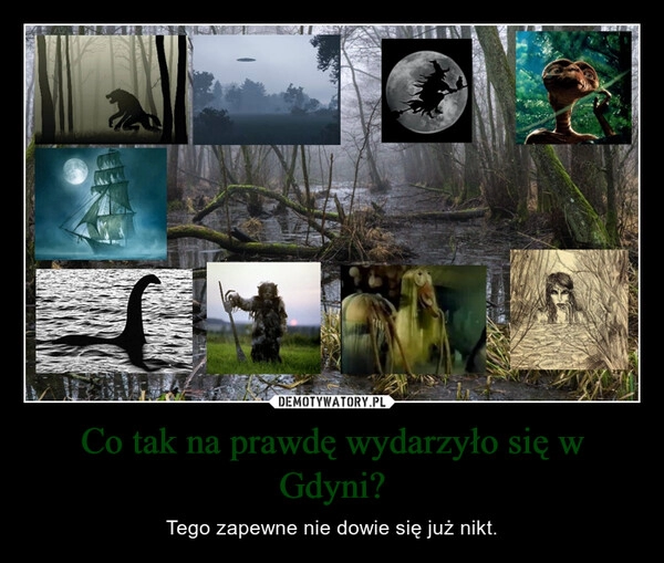 
    Co tak na prawdę wydarzyło się w Gdyni?