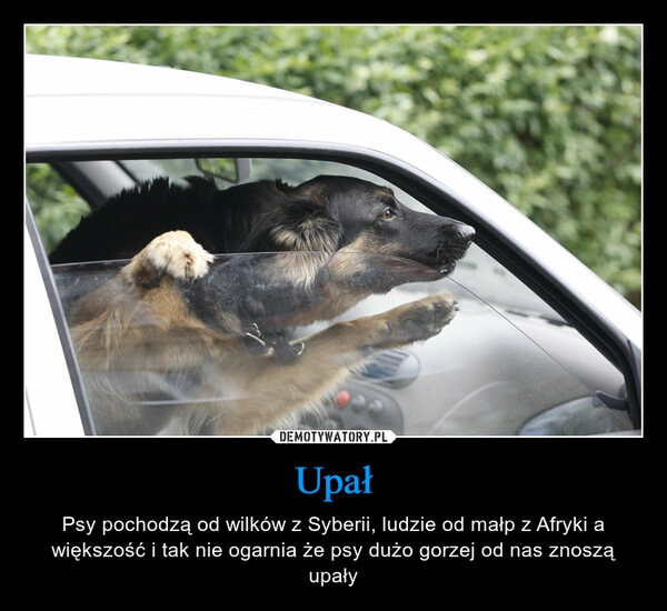 
    Upał