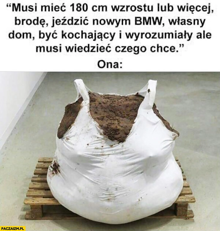 
    Musi mieć 180 cm wzrostu lub więcej, brodę, jeździć nowym BMW, własny dom, być kochający i wyrozumiały wymagania kobiet ona gruba spasiona