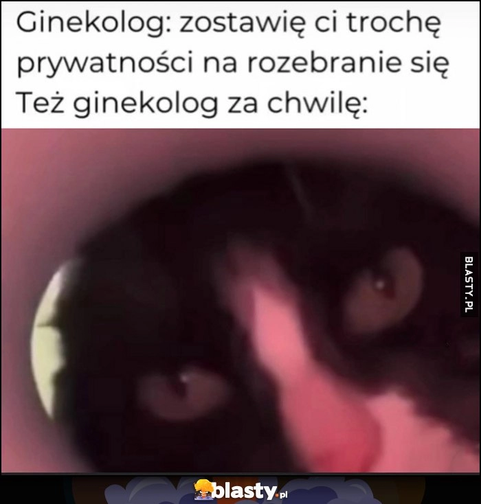 
    Kot ginekolog: zostawię ci trochę prywatności na rozebranie się vs też ginekolog za chwile zagląda do dziury