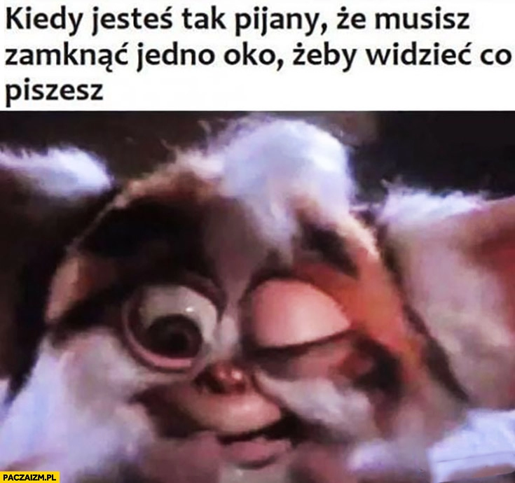 
    Kiedy jesteś tak pijany, że musisz zamknąć jedno oko żeby widzieć co piszesz