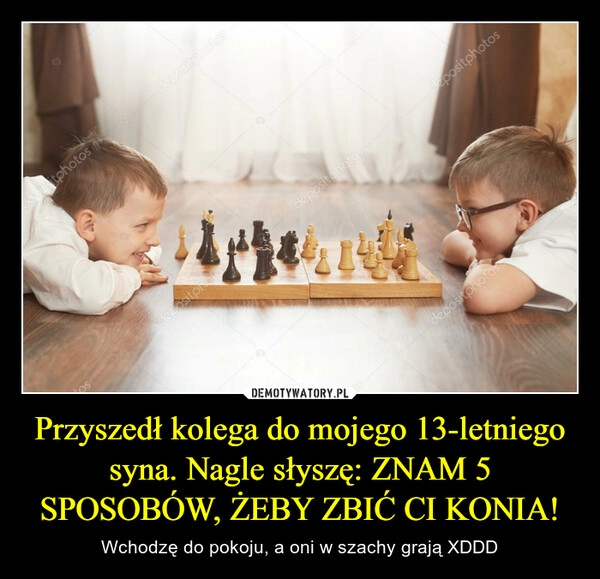 
    Przyszedł kolega do mojego 13-letniego syna. Nagle słyszę: ZNAM 5 SPOSOBÓW, ŻEBY ZBIĆ CI KONIA! 