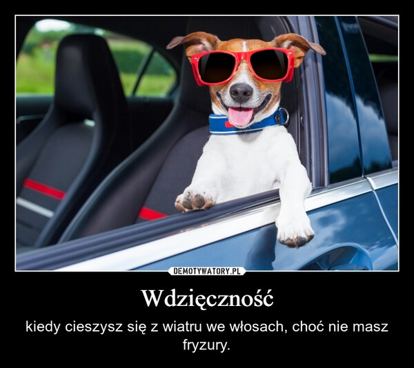 
    Wdzięczność