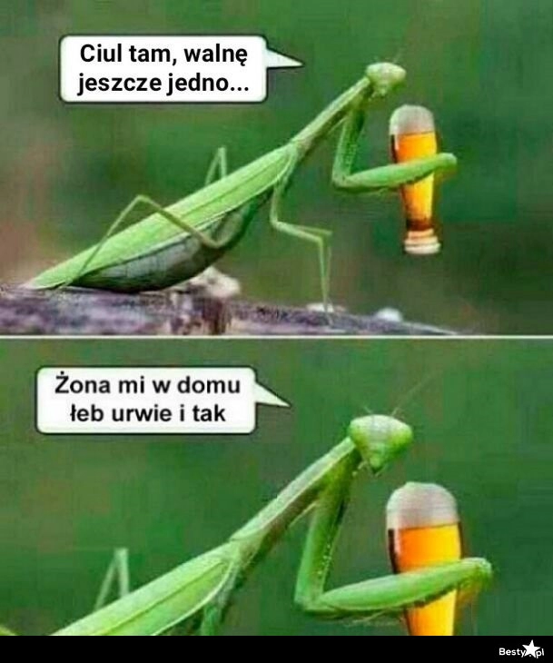 
    Jeszcze jedno piwko 