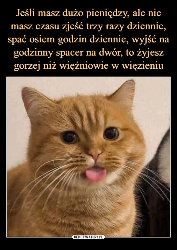 
    Jeśli masz dużo pieniędzy, ale nie masz czasu zjeść trzy razy dziennie, spać osiem godzin dziennie, wyjść na godzinny spacer na dwór, to żyjesz gorzej niż więźniowie w więzieniu