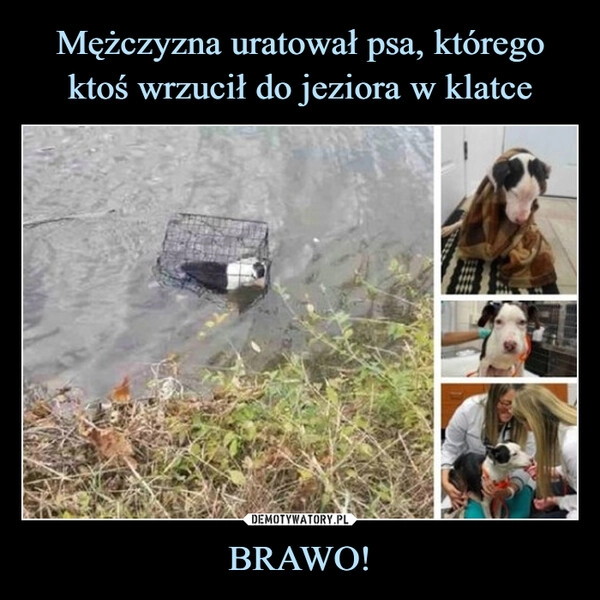 
    Mężczyzna uratował psa, którego ktoś wrzucił do jeziora w klatce BRAWO!