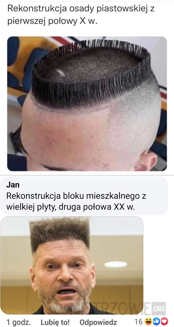 
    Rekonstrukcja