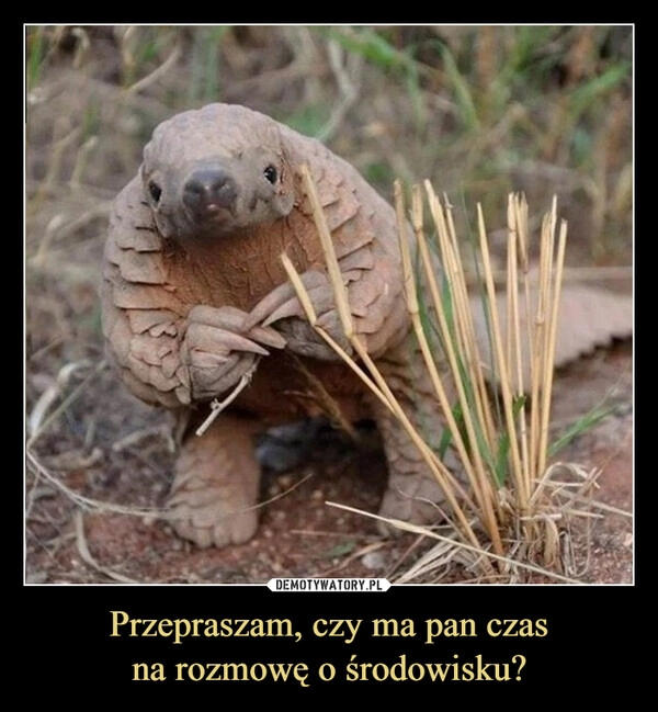 
    Przepraszam, czy ma pan czas
na rozmowę o środowisku?