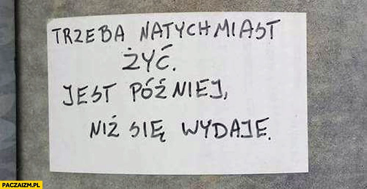 
    Trzeba natychmiast żyć jest później niż się wydaje
