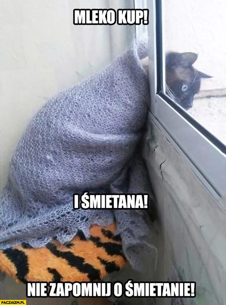 
    Mleko kup i śmietana, nie zapomnij o śmietanie! Kot krzyczy przez okno