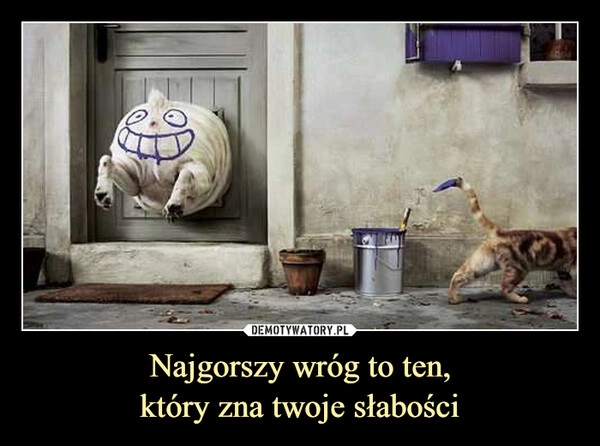 
    Najgorszy wróg to ten,
który zna twoje słabości