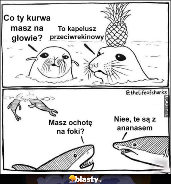 
    Foki co ty masz na głowie? To kapelusz przeciwrekinowy. Rekiny: masz ochotę na foki? Nie, te są z ananasem