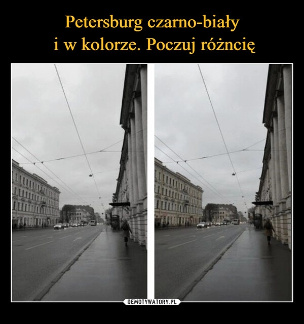 
    
Petersburg czarno-biały
i w kolorze. Poczuj różncię 