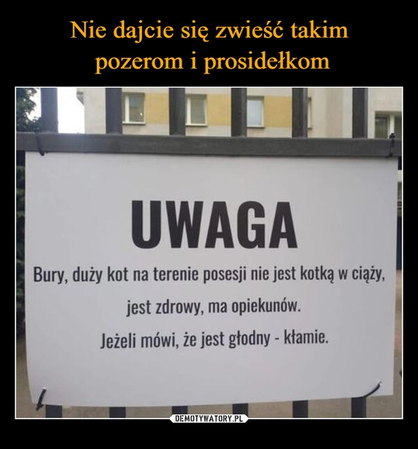 
    Nie dajcie się zwieść takim
 pozerom i prosidełkom